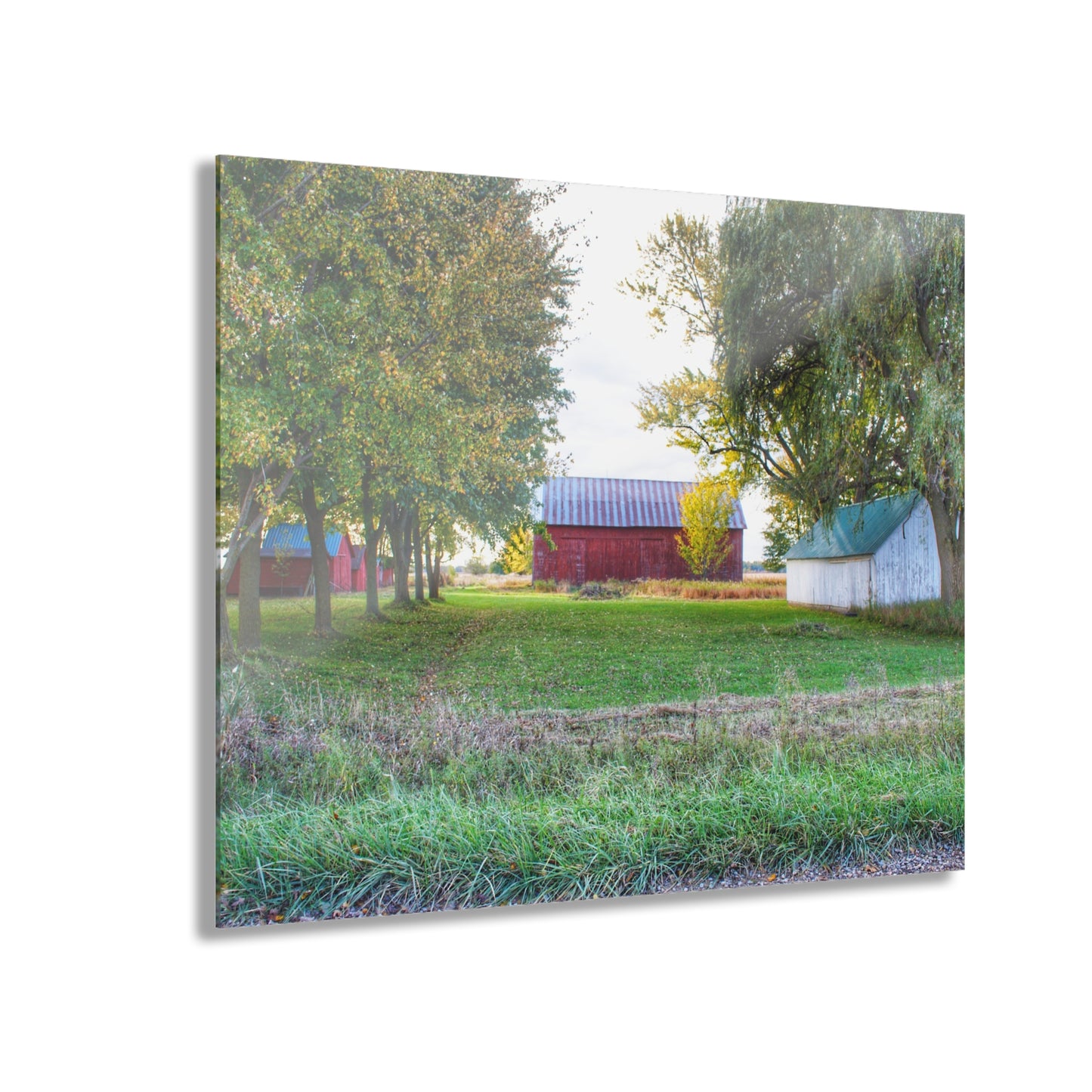 U R There Photography Wilcox Road Reds Rustic Farmhouse Acrylic Wall Print