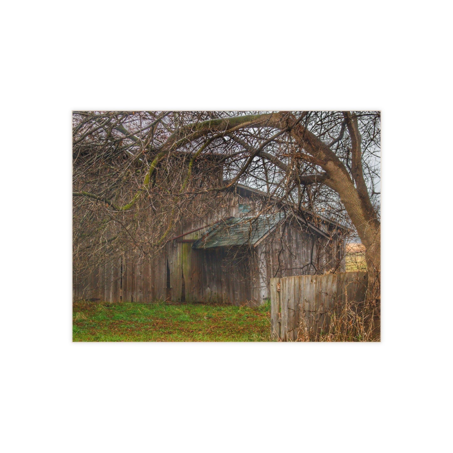 U R There Photography Bowers Road Greys III Rustic Farmhouse Decorative Ceramic Tile