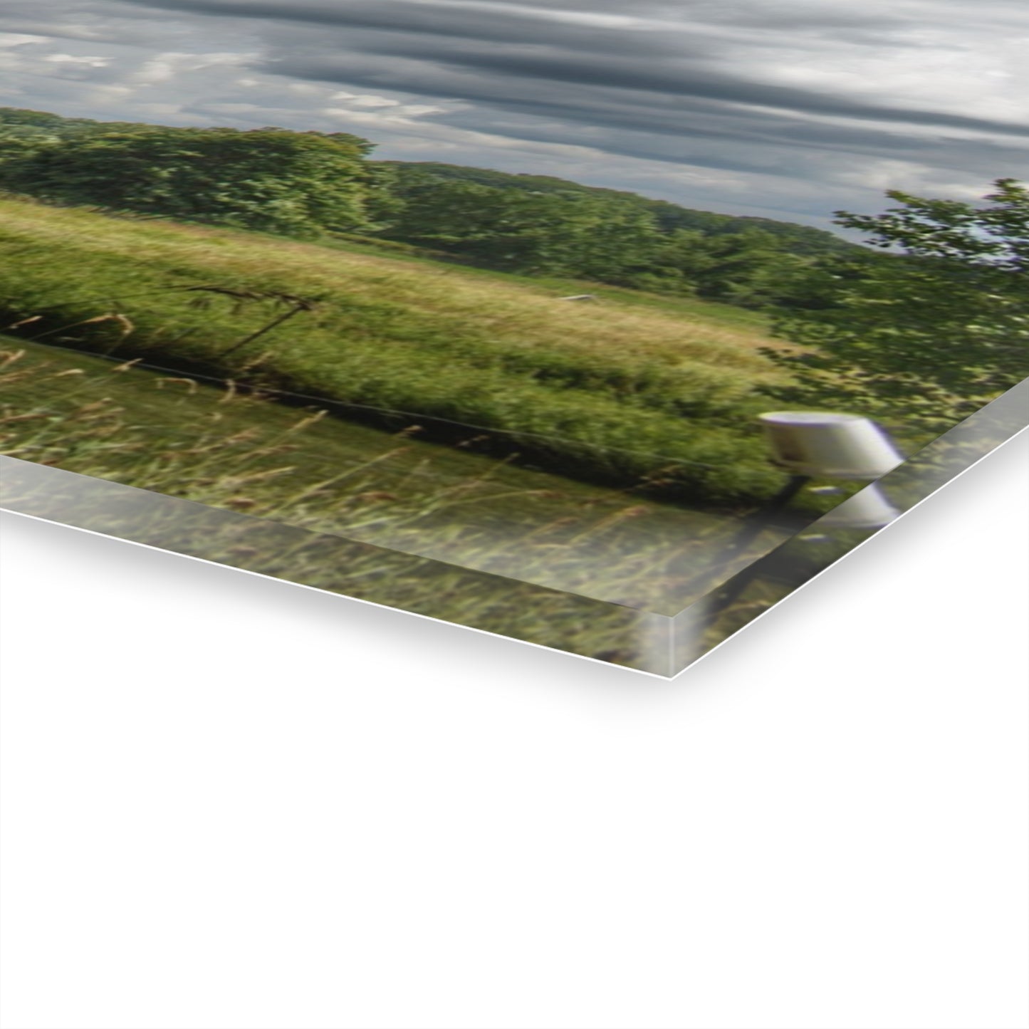 U R There Photography North Branch Ivy Grey II Rustic Farmhouse Acrylic Wall Print