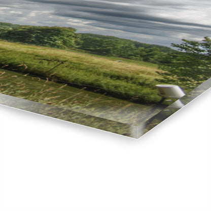 U R There Photography North Branch Ivy Grey II Rustic Farmhouse Acrylic Wall Print