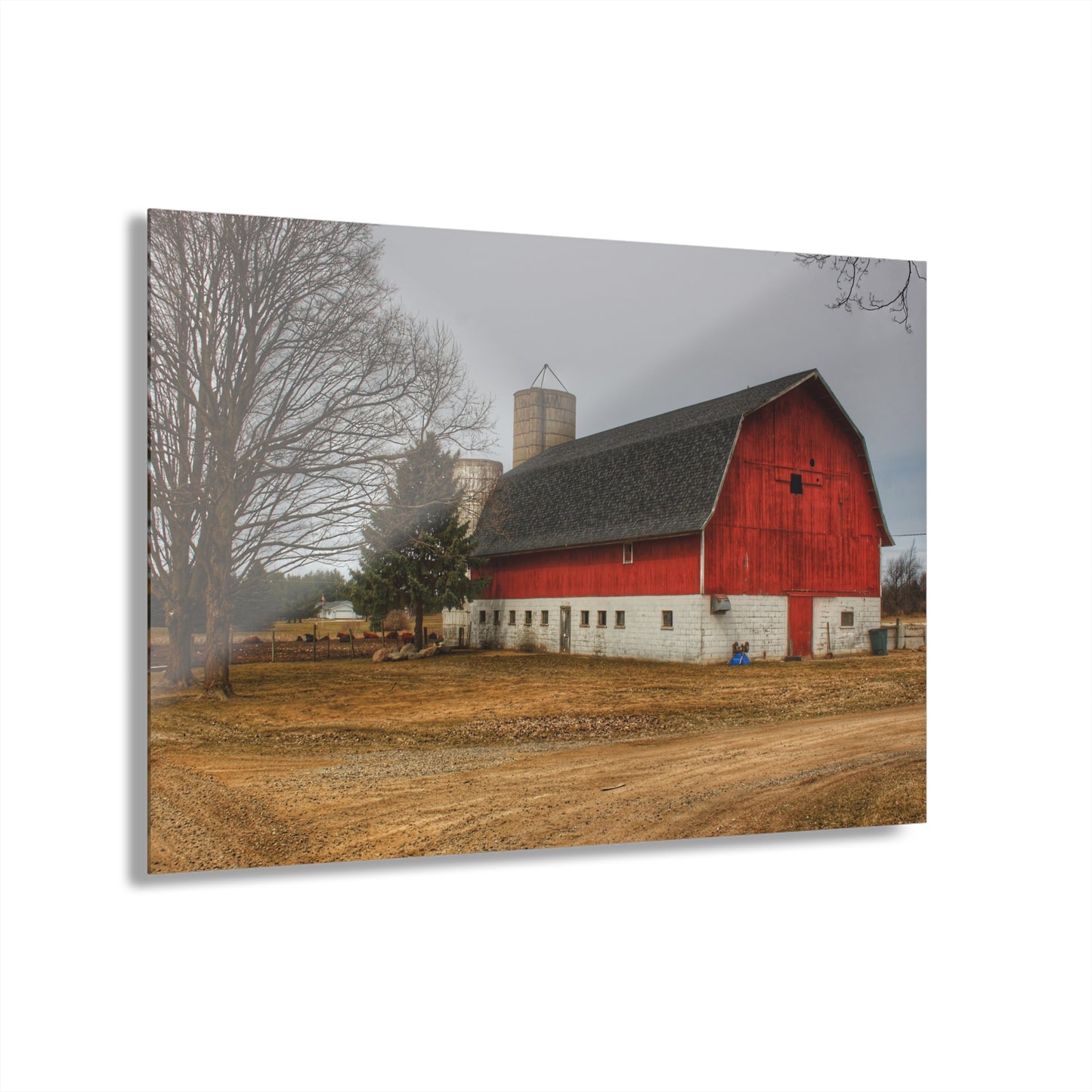 U R There Photography Hunters Creek Road Cow Barn II Rustic Farmhouse Acrylic Wall Print
