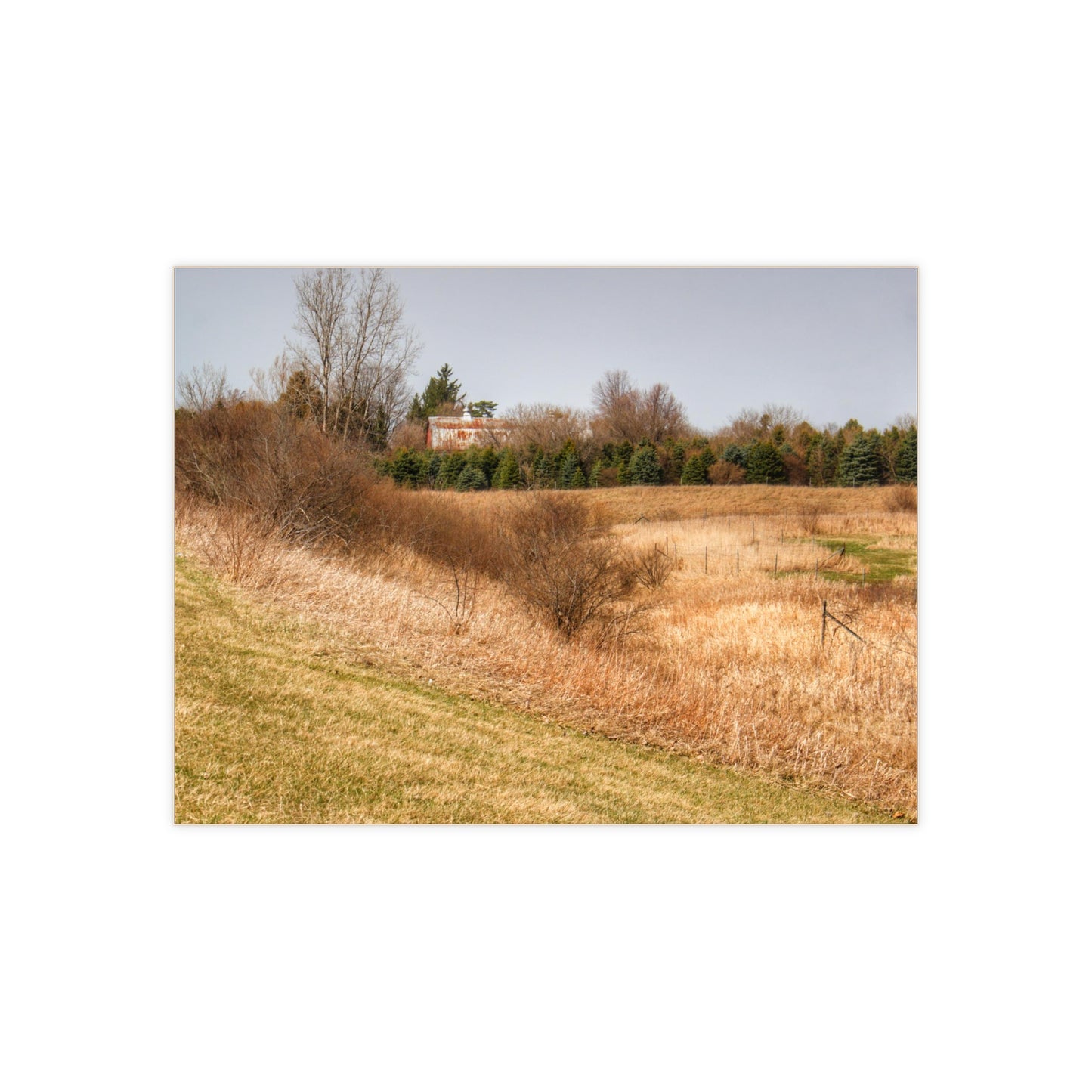 U R There Photography Beyond the Short Pines Rustic Farmhouse Decorative Ceramic Tile