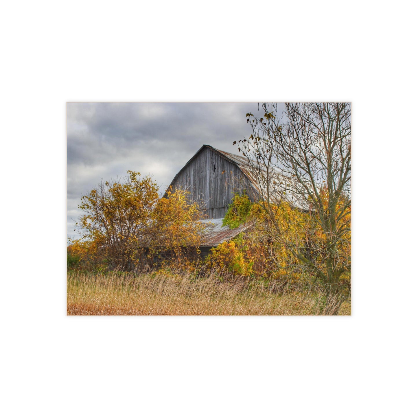 U R There Photography Church Road Grey IV Rustic Farmhouse Decorative Ceramic Tile