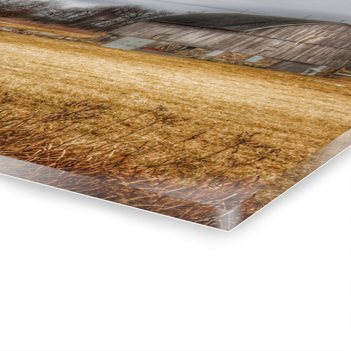 U R There Photography Laur Road Grey Rustic Farmhouse Acrylic Wall Print