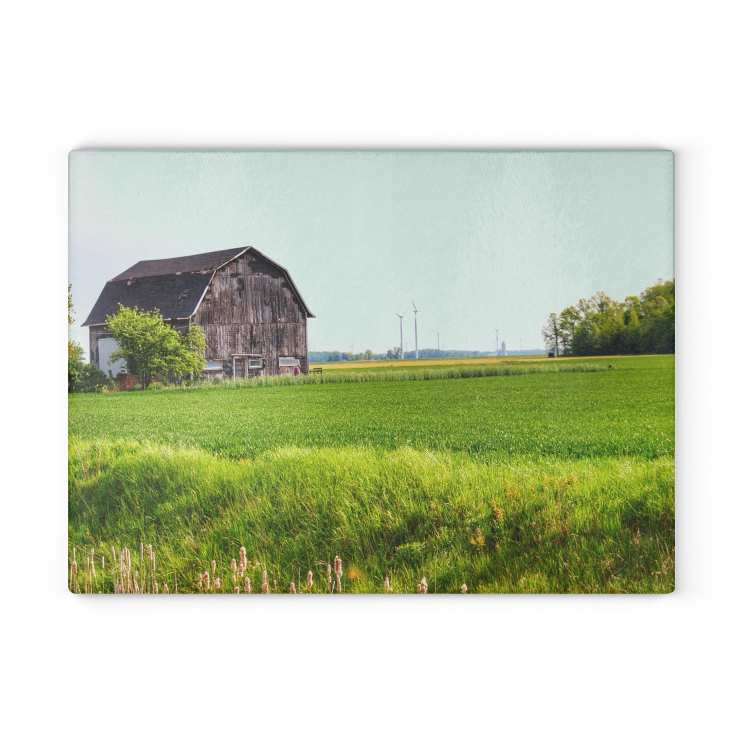 U R There Photography North Graf Road Old Grey Rustic Farmhouse Tempered-Glass Cutting Board