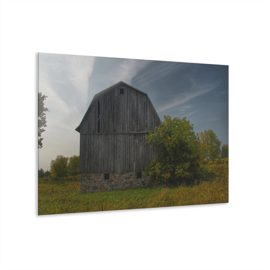 U R There Photography Cat Lake Grey I Rustic Farmhouse Acrylic Wall Print