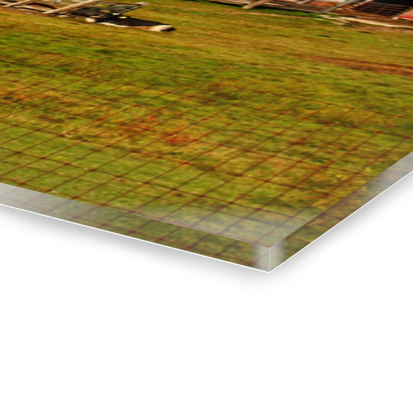 U R There Photography Kingston Checkerboard Farm Rustic Farmhouse Acrylic Wall Print