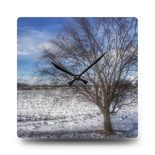 U R There Photography Winter Farm Willow Tree Rustic Farmhouse Acrylic Analog Wall Clock 10.75'' × 10.75'' (Square)
