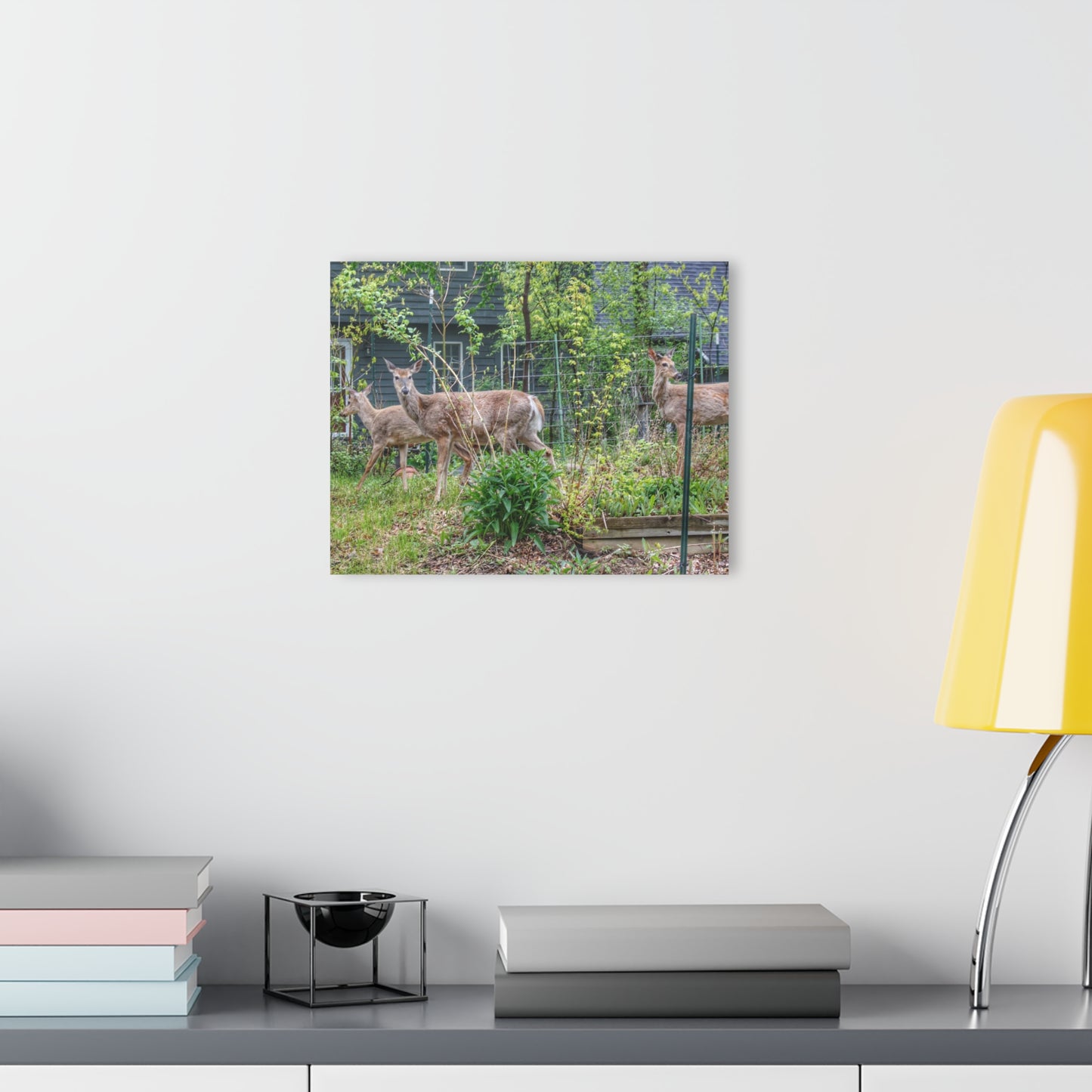 Barn Boutique Modern Farmhouse Acrylic Wall Print| Does of Clarkston