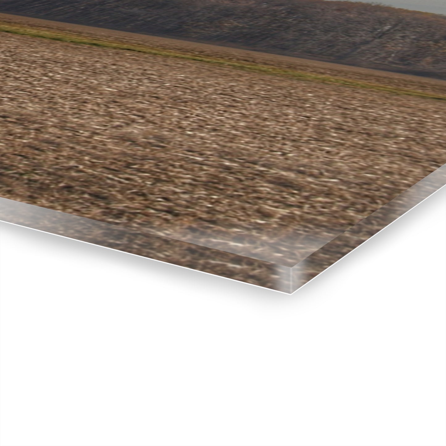 U R There Photography Grey Quonset Among the Pines Rustic Farmhouse Acrylic Wall Print