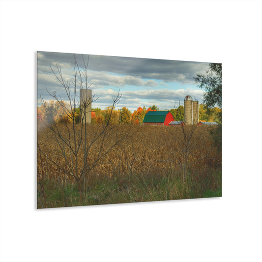 U R There Photography Beyond the Harvest Corn II Rustic Farmhouse Acrylic Wall Print