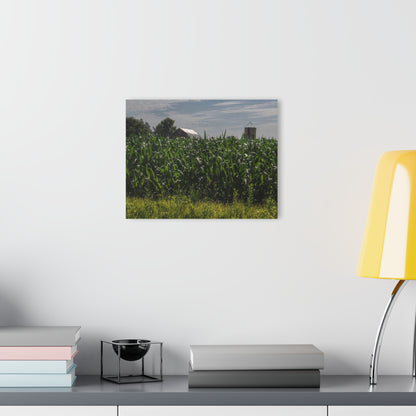 U R There Photography Above the Corn on Piersonville Road I Rustic Farmhouse Acrylic Wall Print