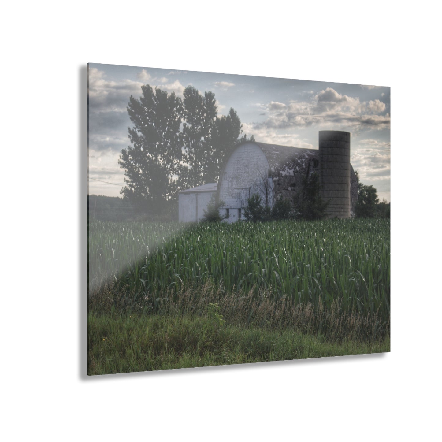 U R There Photography Genesee Road White Rustic Farmhouse Acrylic Wall Print