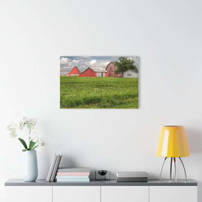 U R There Photography Roadside Trio Rustic Farmhouse Acrylic Wall Print