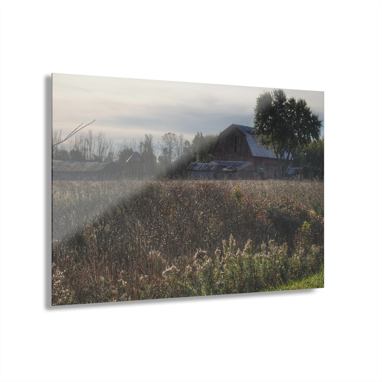 U R There Photography Brown City Road Red Rustic Farmhouse Acrylic Wall Print