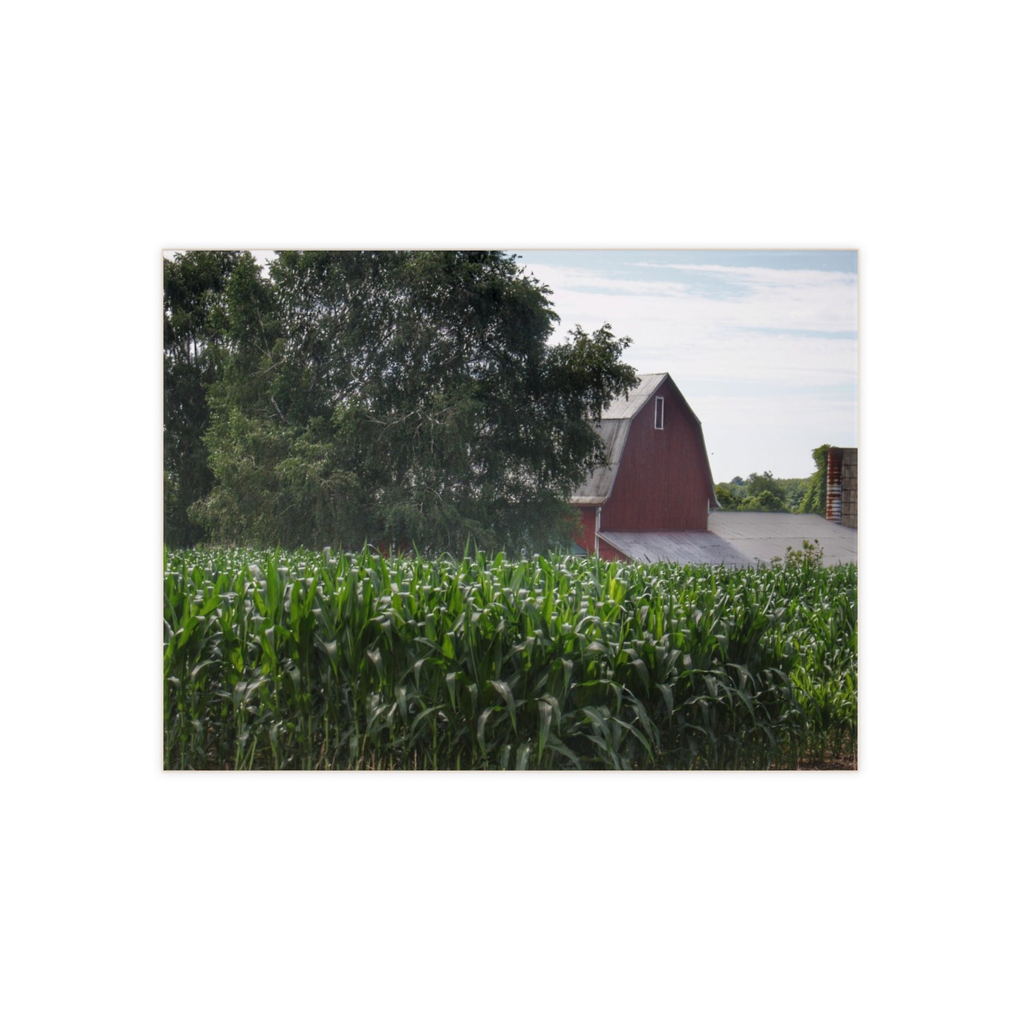 U R There Photography Above the Corn on Piersonville Road III Rustic Farmhouse Decorative Ceramic Tile