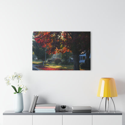 U R There Photography Red Crimson Leaves of Lum Rustic Farmhouse Acrylic Wall Print