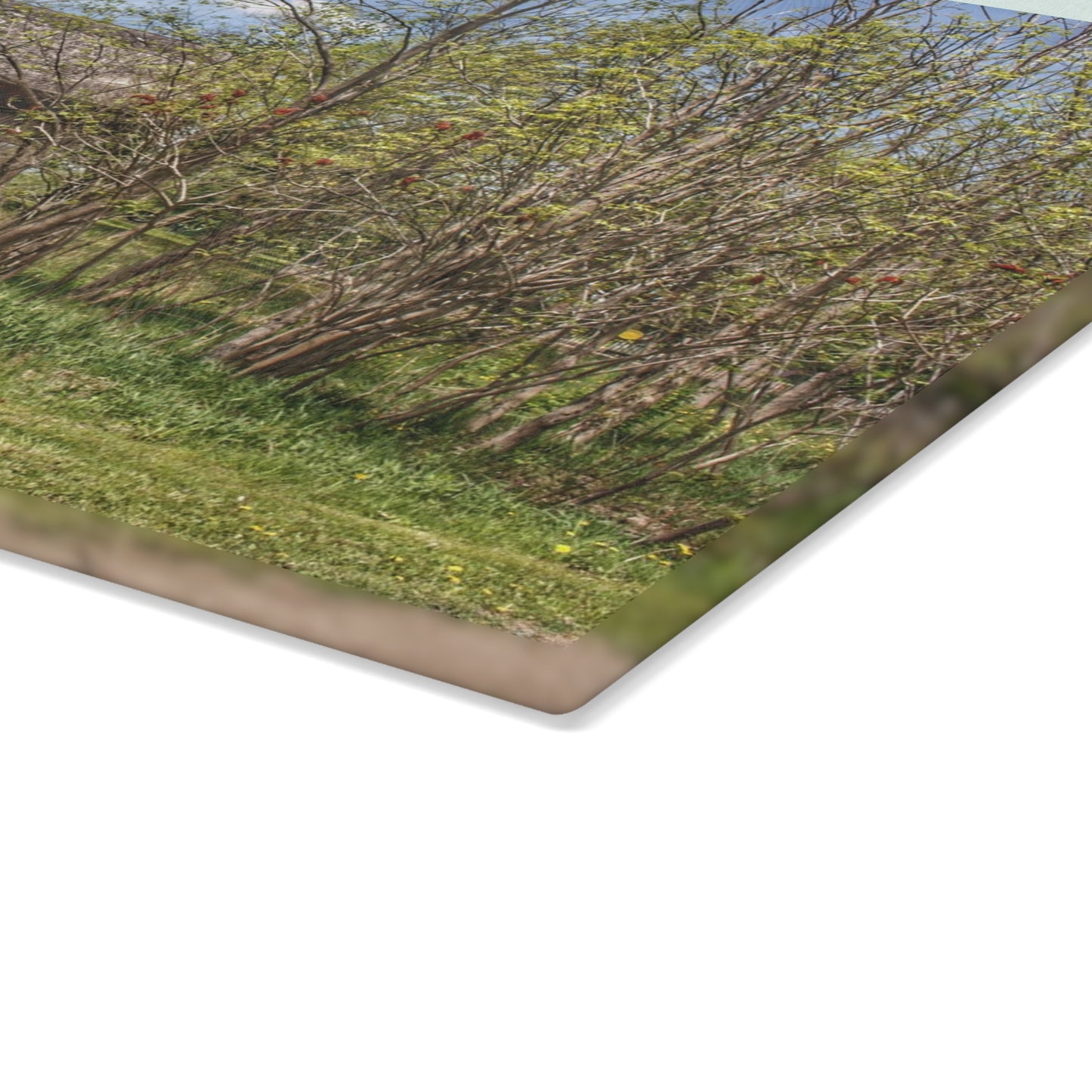 U R There Photography Bishop Road Grey I Rustic Farmhouse Tempered-Glass Cutting Board