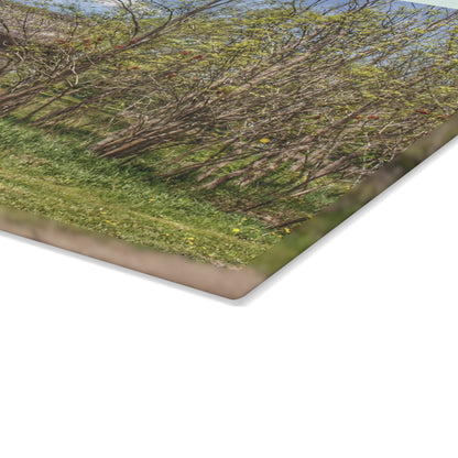 U R There Photography Bishop Road Grey I Rustic Farmhouse Tempered-Glass Cutting Board