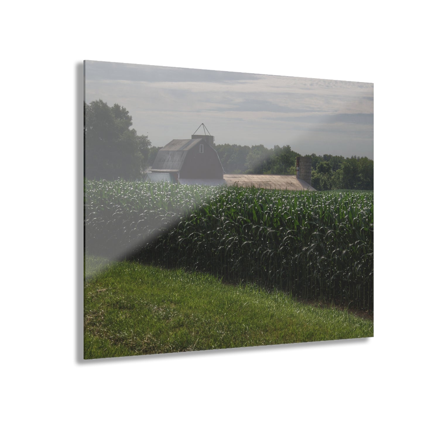 U R There Photography Above the Corn on Piersonville Road II Rustic Farmhouse Acrylic Wall Print