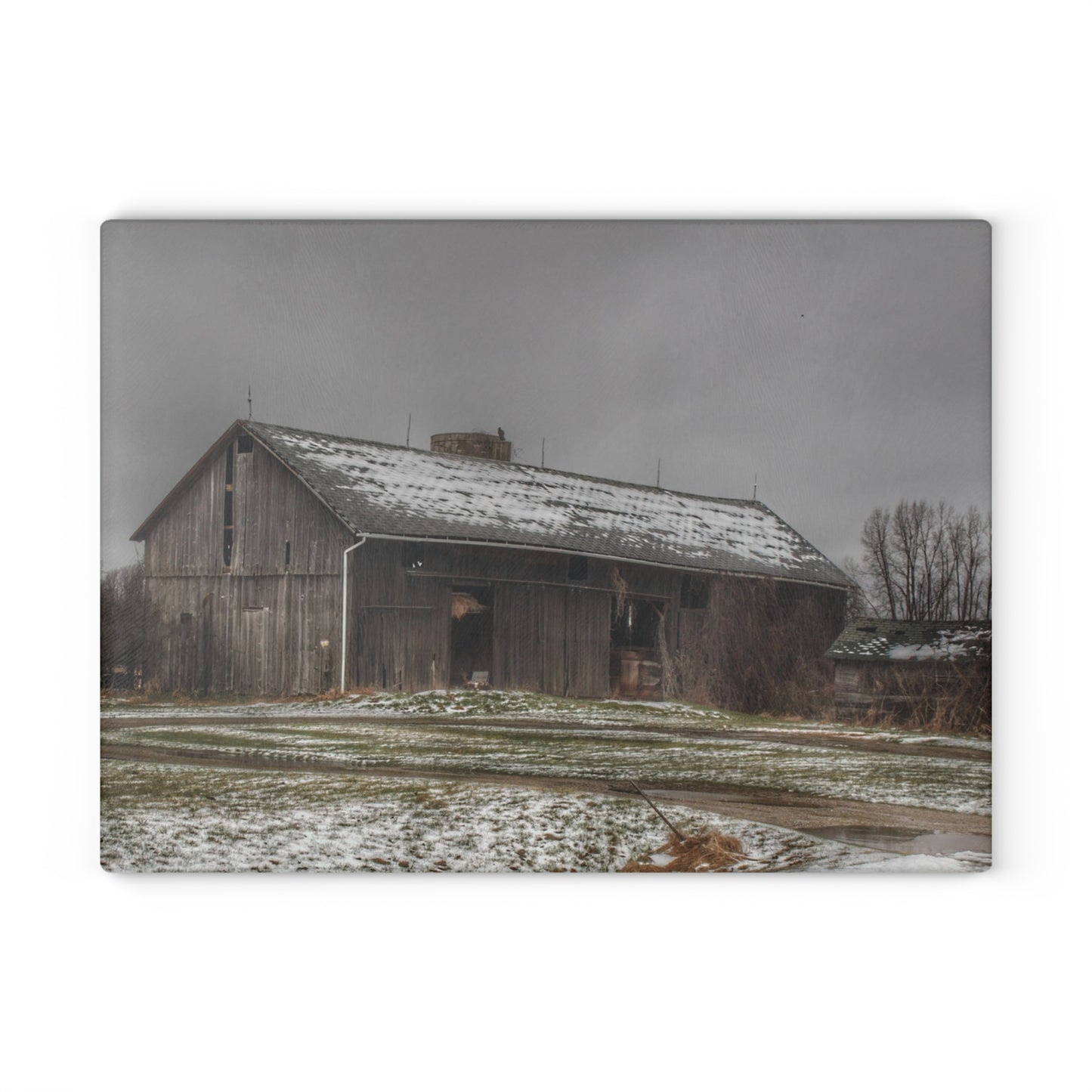 U R There Photography Wilder Road Grey in Spring Rustic Farmhouse Tempered-Glass Cutting Board