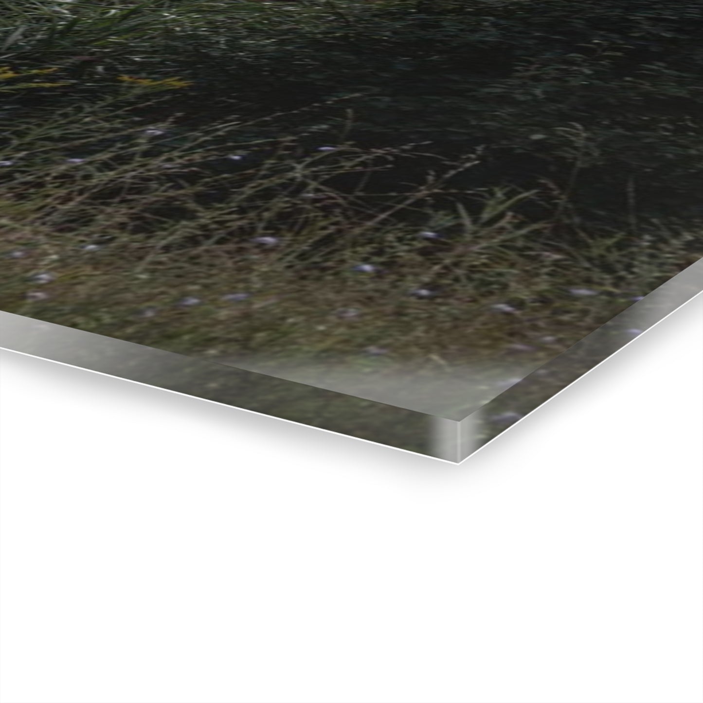 U R There Photography Greenwood Road Red II Rustic Farmhouse Acrylic Wall Print