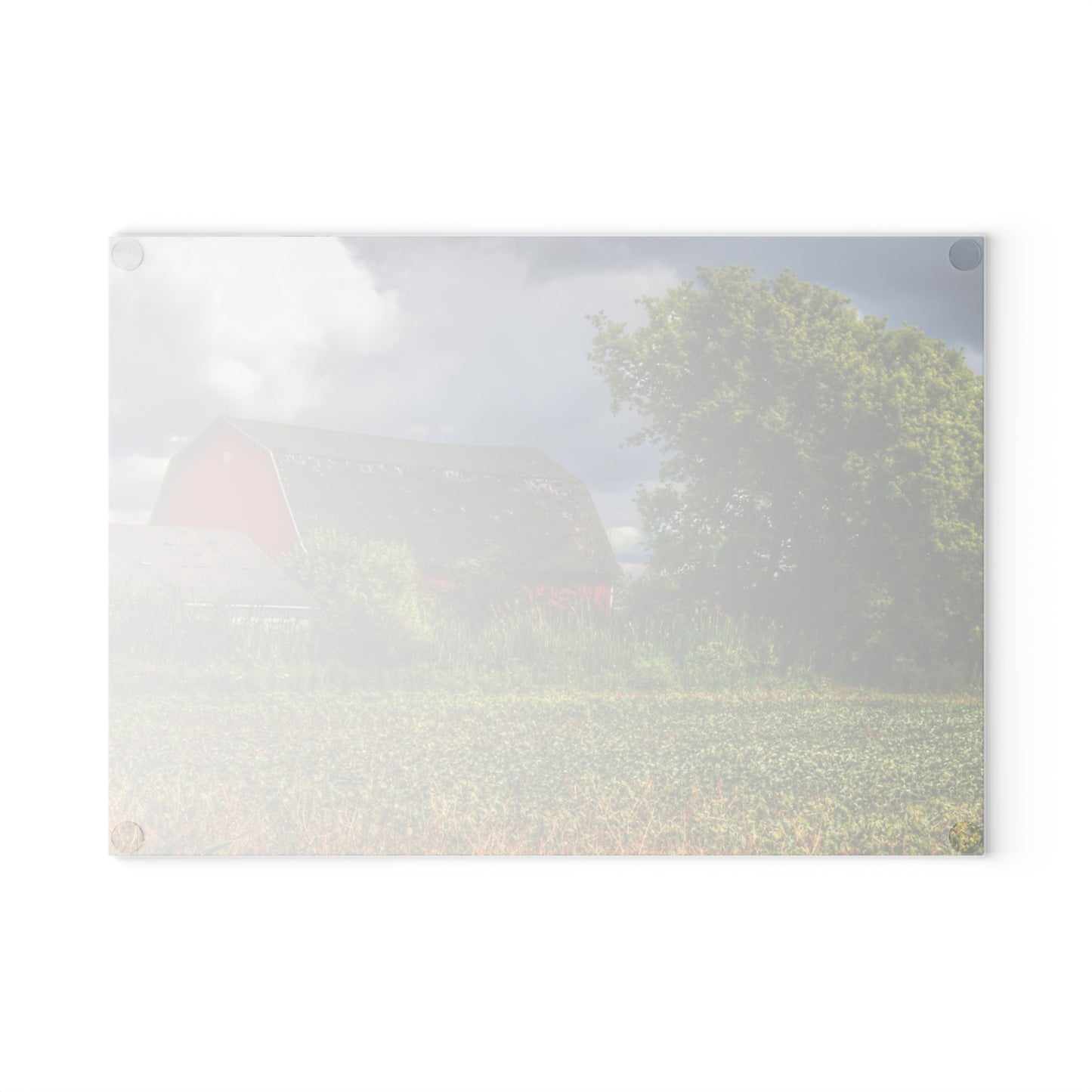 U R There Photography Shelby Red IV Rustic Farmhouse Tempered-Glass Cutting Board