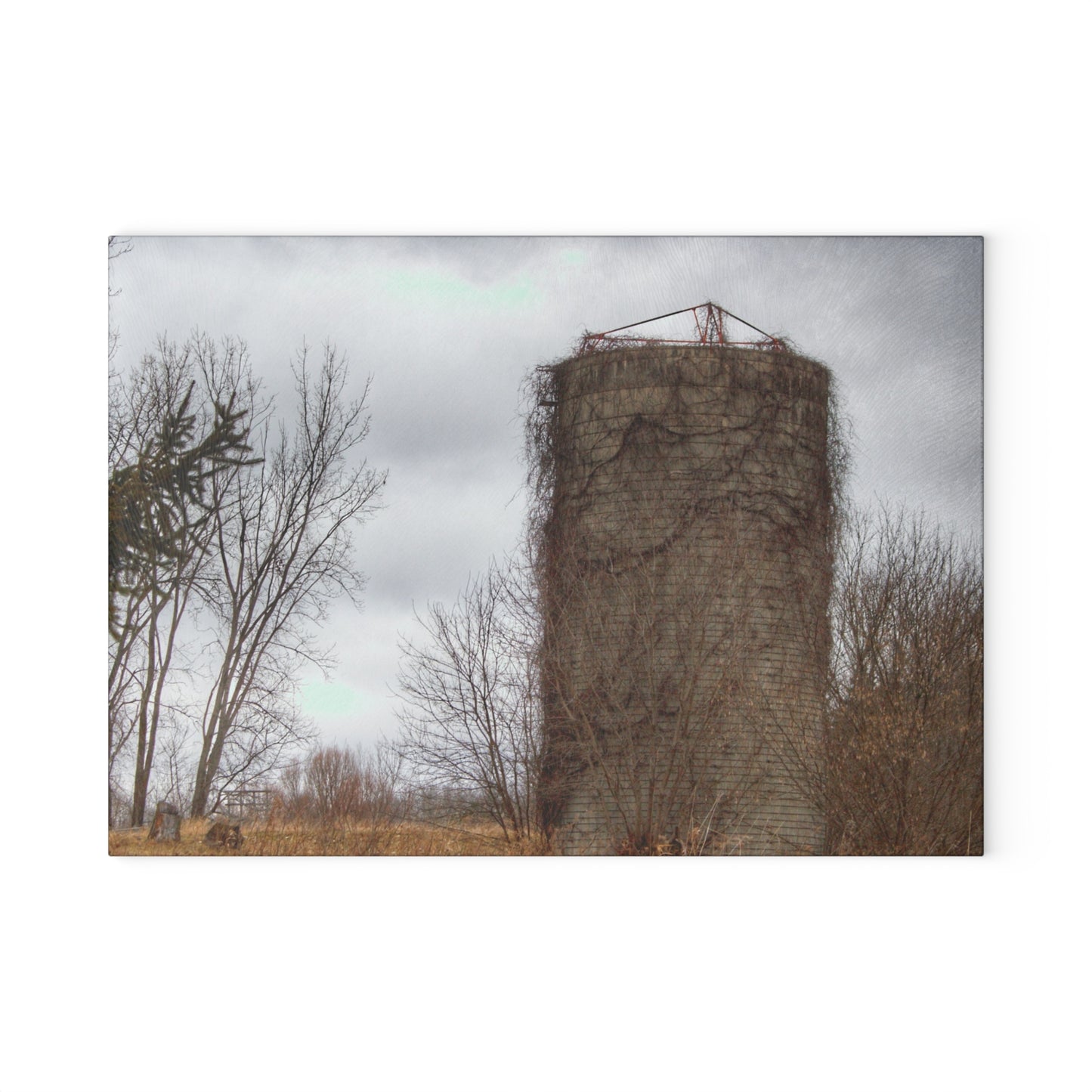 U R There Photography West Barnes Lake Silo Rustic Farmhouse Tempered-Glass Cutting Board