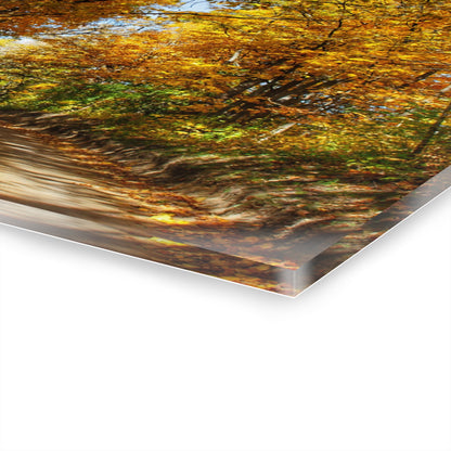 U R There Photography Harson Road in Fall I Rustic Farmhouse Acrylic Wall Print
