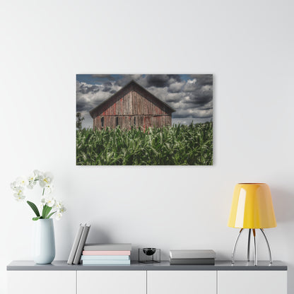 U R There Photography Above the July Corn Rustic Farmhouse Acrylic Wall Print