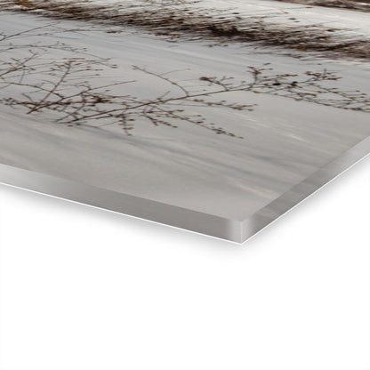 U R There Photography Frozen Grey Shack of Kingston Rustic Farmhouse Acrylic Wall Print