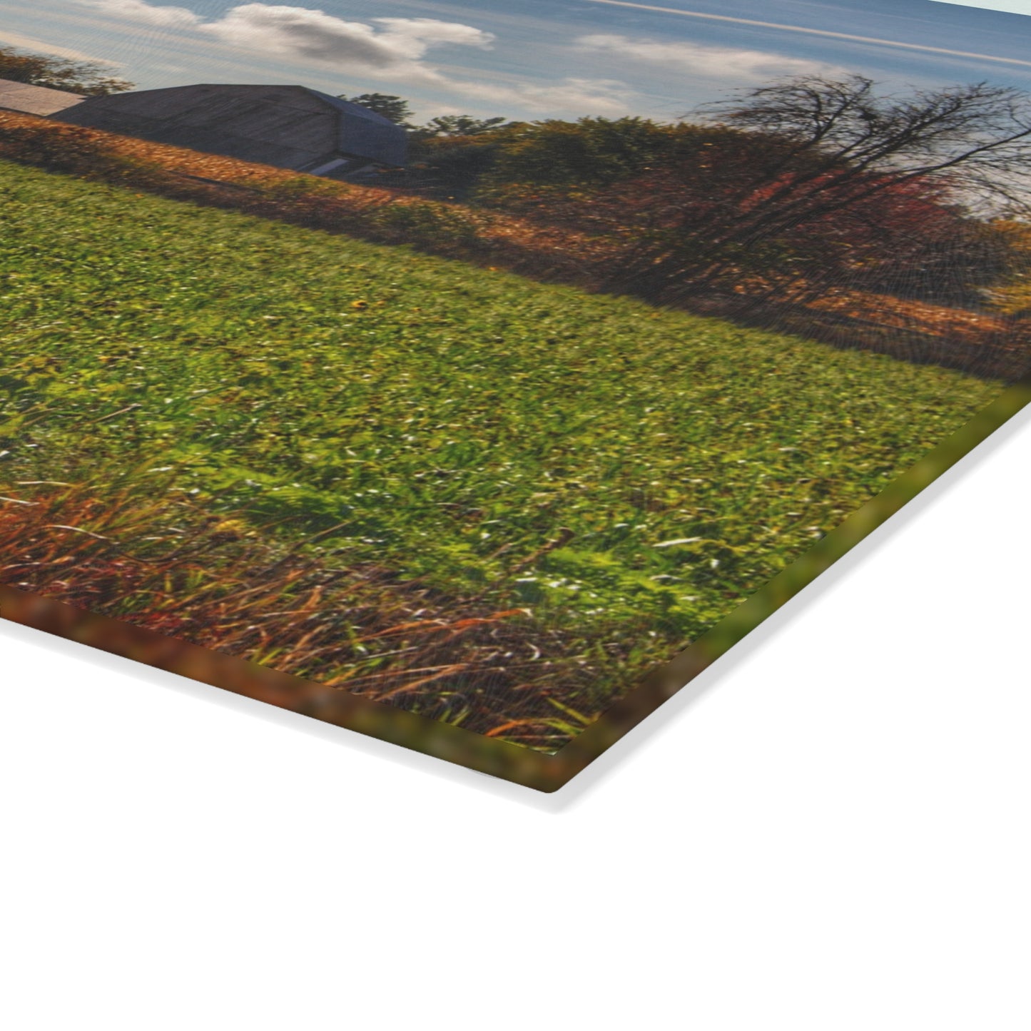 U R There Photography Wadsworth Road Grey Rustic Farmhouse Tempered-Glass Cutting Board