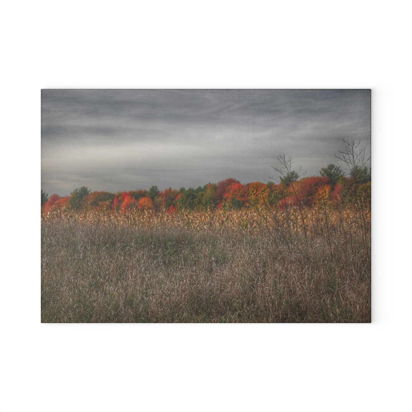 U R There Photography Fall on Murphy Lake V Rustic Farmhouse Tempered-Glass Cutting Board