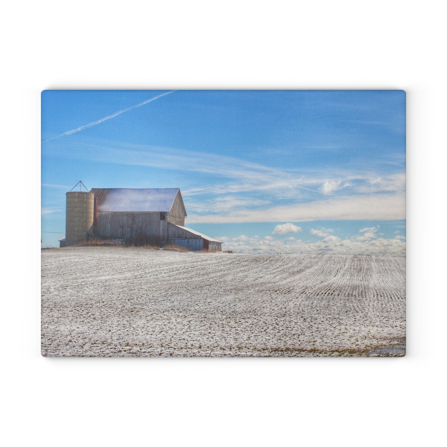 U R There Photography Early Spring Grey II Rustic Farmhouse Tempered-Glass Cutting Board