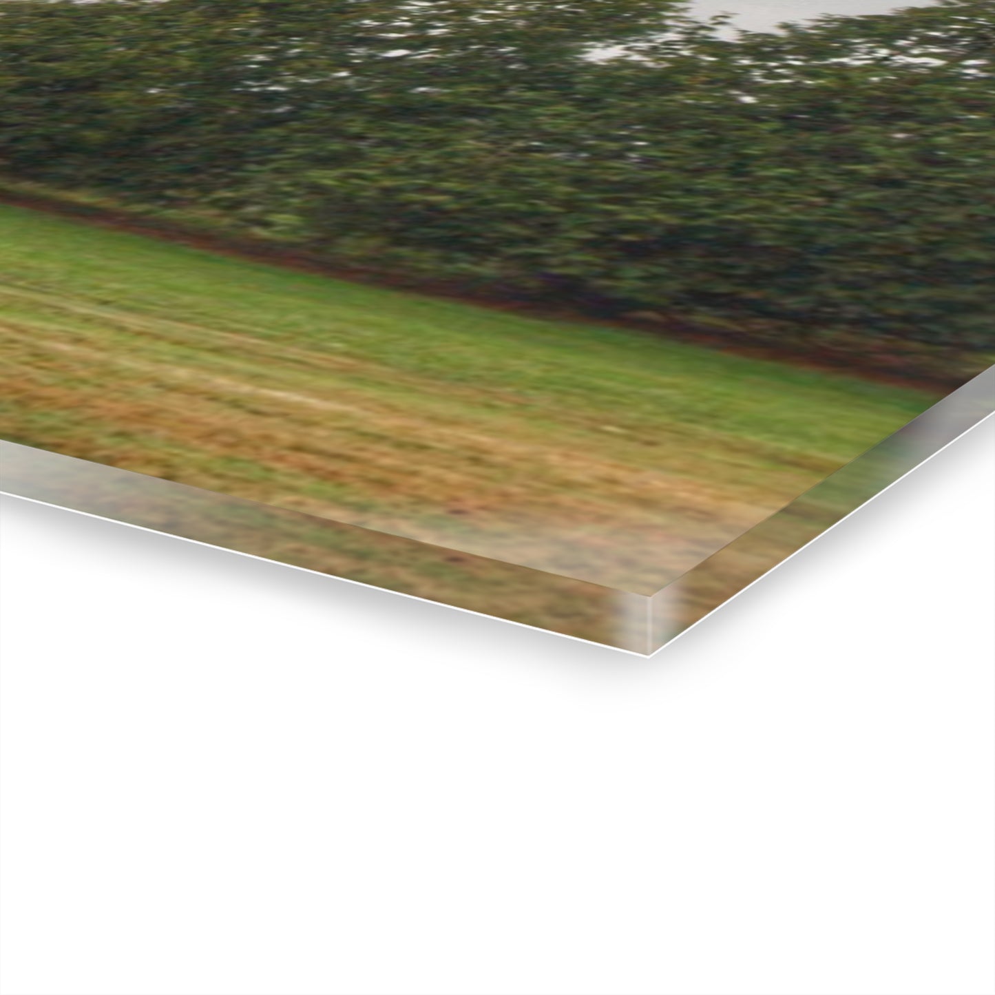 U R There Photography Eddy Road Grey I Rustic Farmhouse Acrylic Wall Print 14 "x 11"