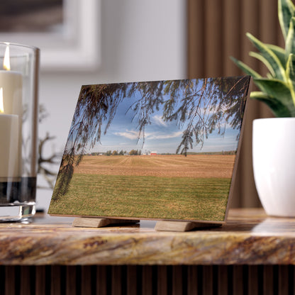 U R There Photography Cass City Farm Rustic Farmhouse Decorative Ceramic Tile