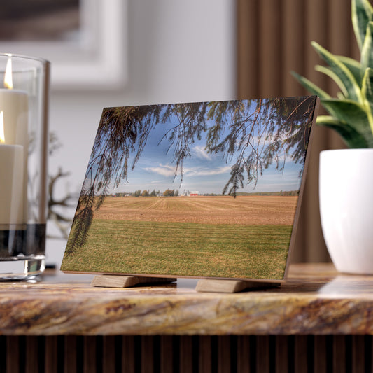 U R There Photography Cass City Farm Rustic Farmhouse Decorative Ceramic Tile