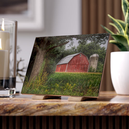 U R There Photography Mayville Lapeer Road Red Rustic Farmhouse Decorative Ceramic Tile