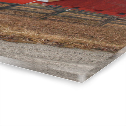 U R There Photography January Reds Rustic Farmhouse Acrylic Wall Print