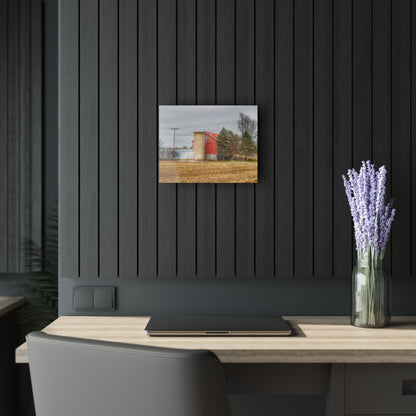 U R There Photography Laur Road Red Among the Pines I Rustic Farmhouse Acrylic Wall Print