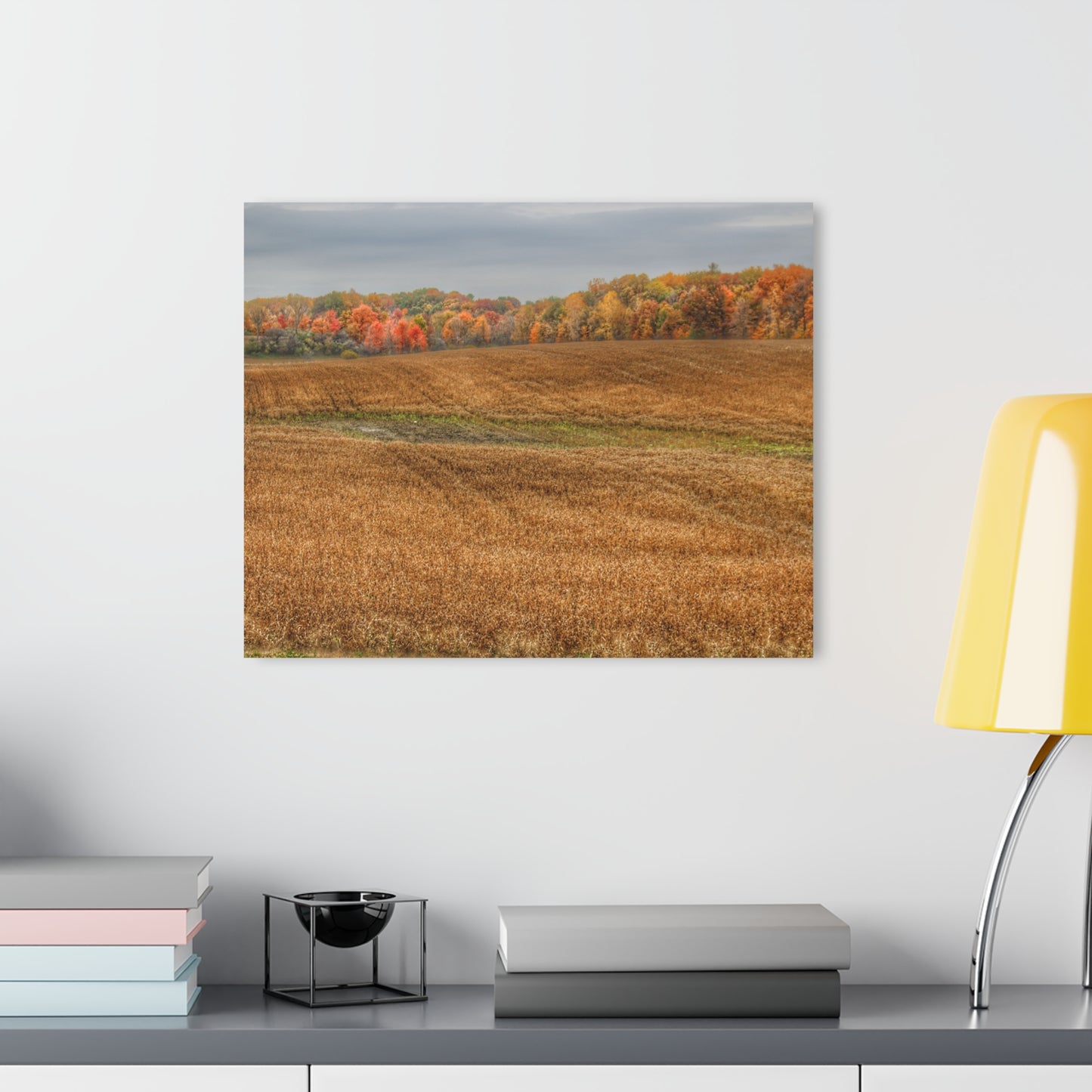 Barn Boutique Modern Farmhouse Acrylic Wall Print| Colors of Fall on Lippencott Road