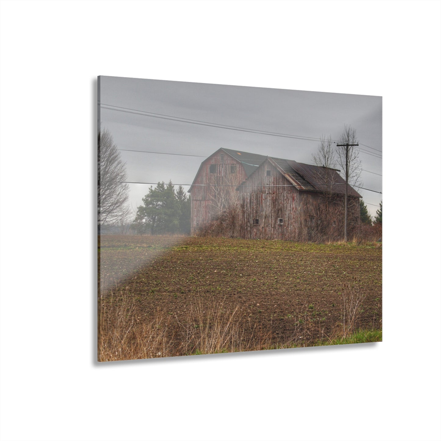 U R There Photography Bowers Road Grey Duo I Rustic Farmhouse Acrylic Wall Print