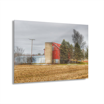 U R There Photography Laur Road Red Among the Pines I Rustic Farmhouse Acrylic Wall Print