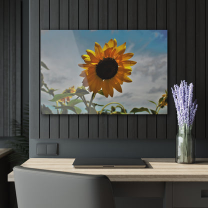 U R There Photography Awakening Sunflower Rustic Farmhouse Acrylic Wall Print