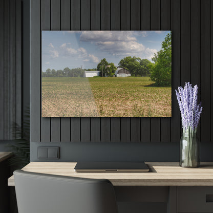 U R There Photography Willard Road White Rustic Farmhouse Acrylic Wall Print