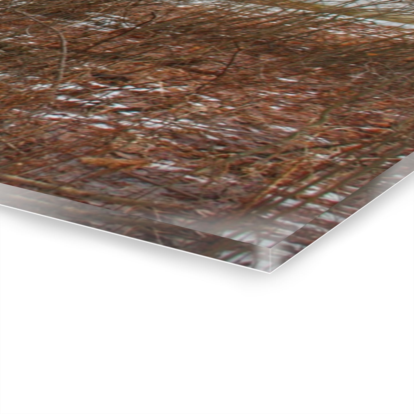 U R There Photography Norway Lake Hidden White Rustic Farmhouse Acrylic Wall Print