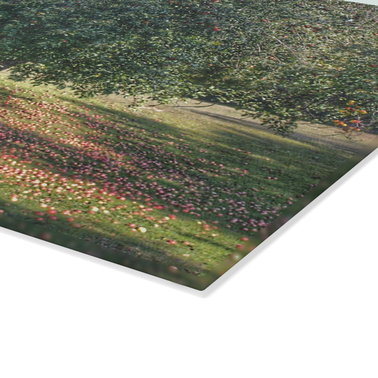 U R There Photography Apple Tree and Apples Rustic Farmhouse Tempered-Glass Cutting Board
