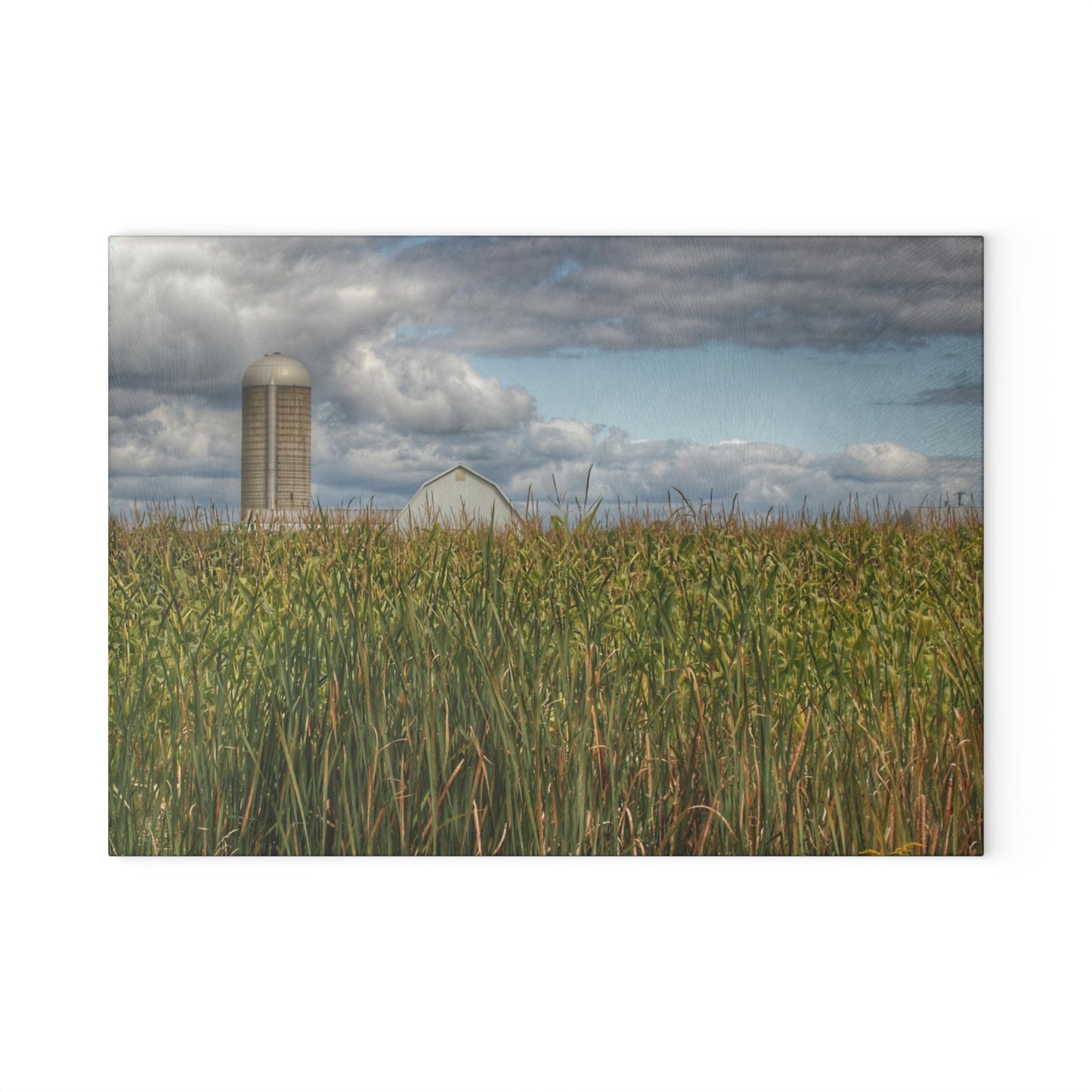 U R There Photography White Barn Overlooking Cornfield Rustic Farmhouse Tempered-Glass Cutting Board