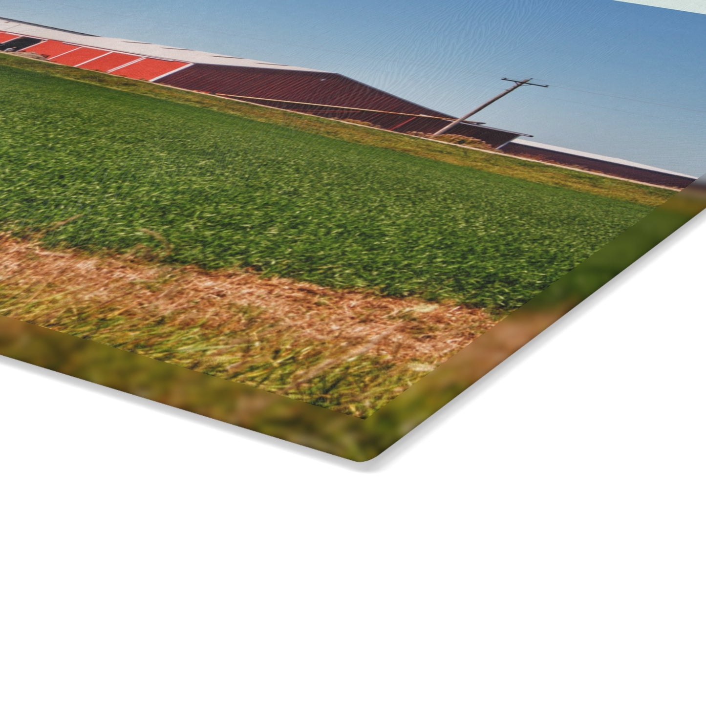 U R There Photography Pattison Road Farm Across the Field II Rustic Farmhouse Tempered-Glass Cutting Board