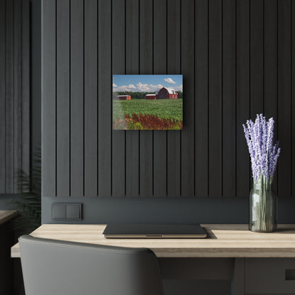 U R There Photography South Gera Road Red Rustic Farmhouse Acrylic Wall Print